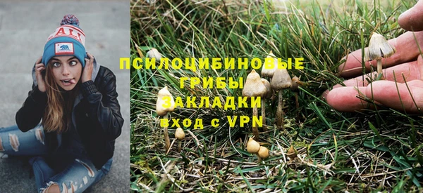 каннабис Богданович