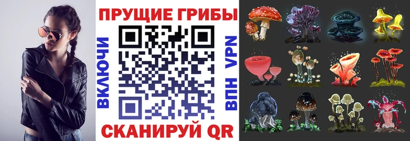 Псилоцибиновые грибы мухоморы  Купить где  Ленинск-Кузнецкий 